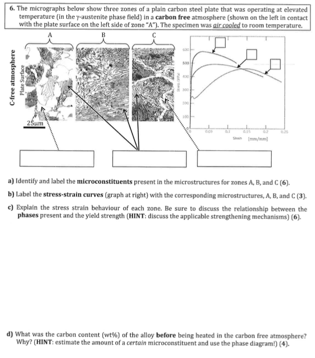 The Micrographs Below Show Three Zones Of A Plain