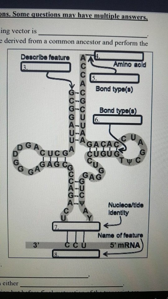 Solved Ns Some Questions May Have Multiple Answers Ing Chegg Com