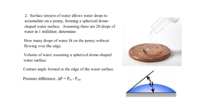 Solved 2 Surface Tension Of Water Allows Water Drops To Chegg Com