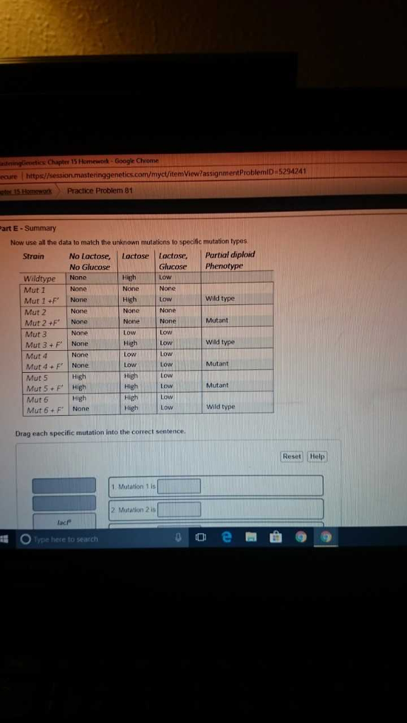 Google chrome homework image