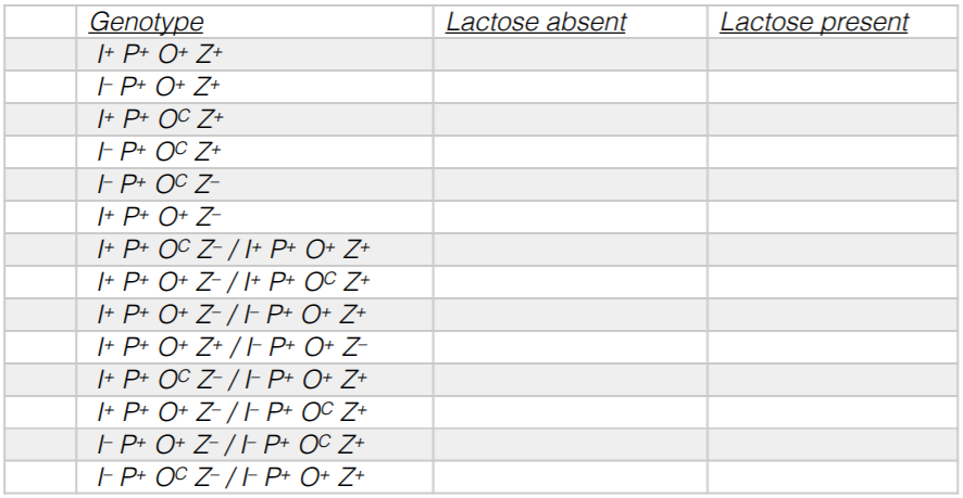 Solved What Would Be The Expected Expression Of Galacto Chegg Com