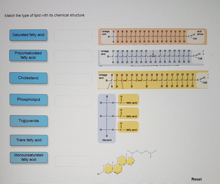 o lipid c - Fatty Acids, Esters, Alcohols The four lipids used in