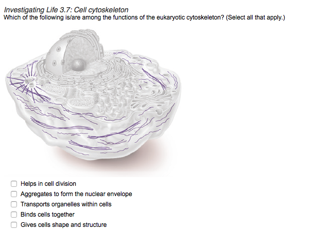 Solved Investigating Life 3.7 Cell Cytoskeleton Which Of