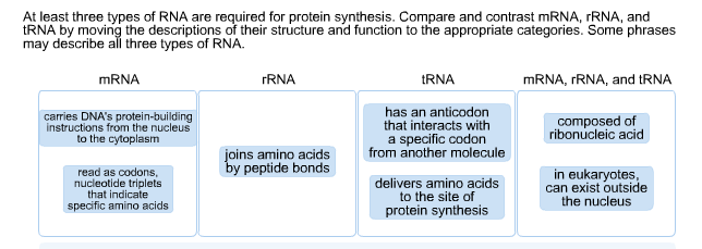 Solved At Least Three Types Of Rna Are Required For Prote Chegg Com