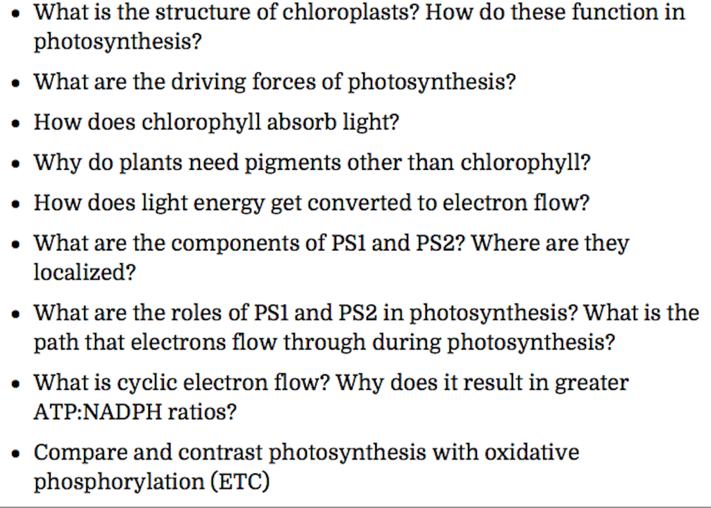 chlorophyll structure and function