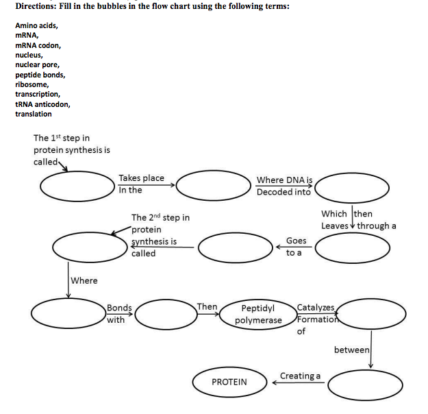 Solved: Fill In The Bubbles In The Flow Chart Using The Fo ...