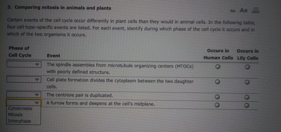 3 Comparing Mitosis In Animals And Plants Aa Aa Chegg Com