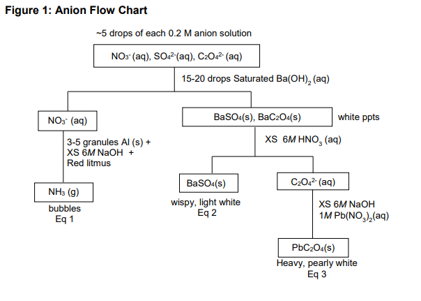 Anion Flow Chart