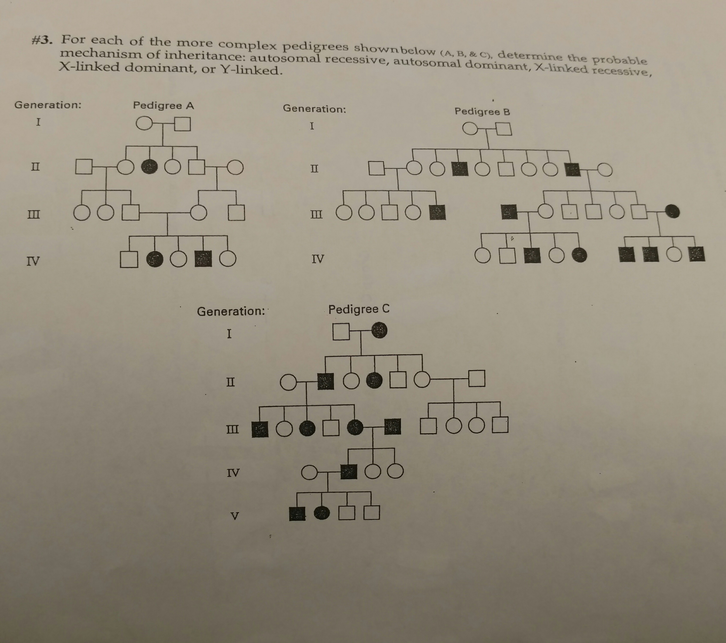 autosomal recessive inheritance pedigree