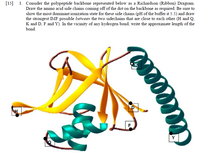 polypeptide backbone