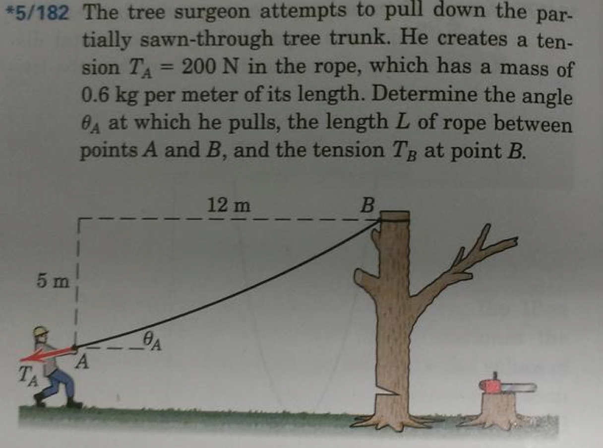 The tree surgeon attempts to pull down the