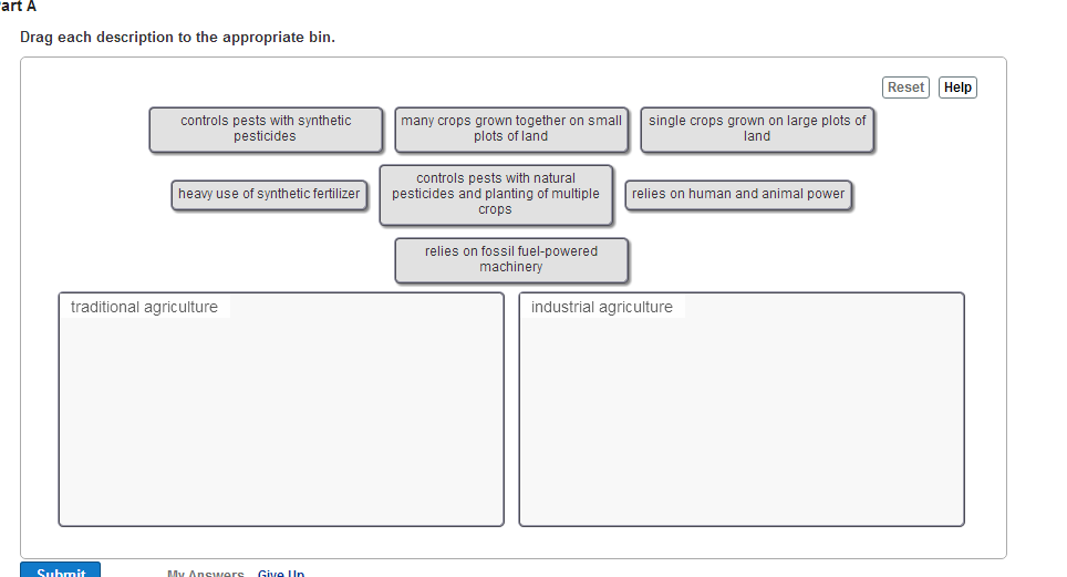 Solved Drag Each Description To The Appropriate Bin