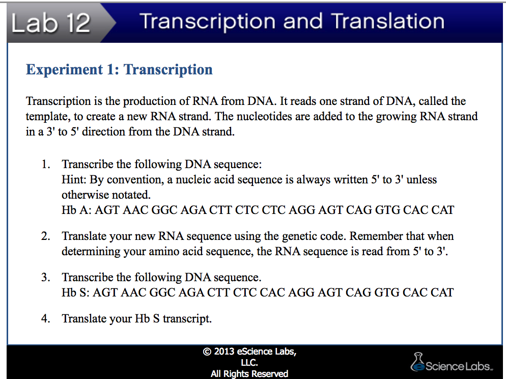 experiment transcription