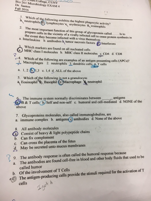 Solved Which Of The Following Exhibits The Highest | Chegg.com