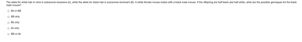 Solved The Allele For White Hair In Mice Is Autosomal Rec Chegg Com