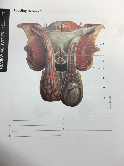 Biology Archive | April 29, 2016 | Chegg.com