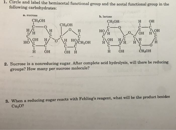 Solved Circle And Label The Hemiacetal Functional Group A Chegg Com