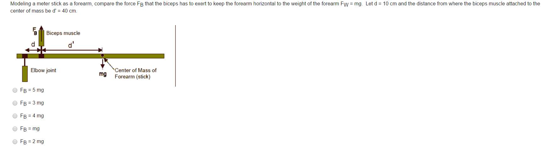 Solved Modeling A Meter Stick As A Forearm Compare The F Chegg Com