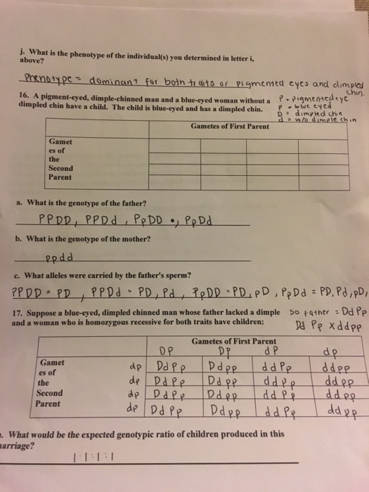 Solved J What Is The Phenotype Of The Individual O You D Chegg Com