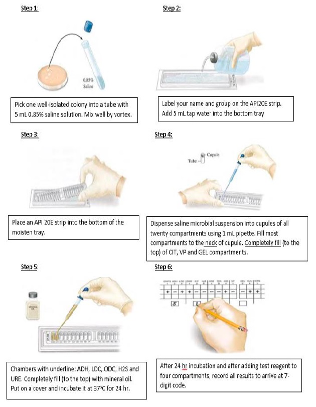 Food Microbiology Laboratory Question Q Chegg Com