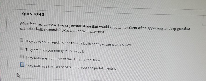 Teaching the great diseases picture