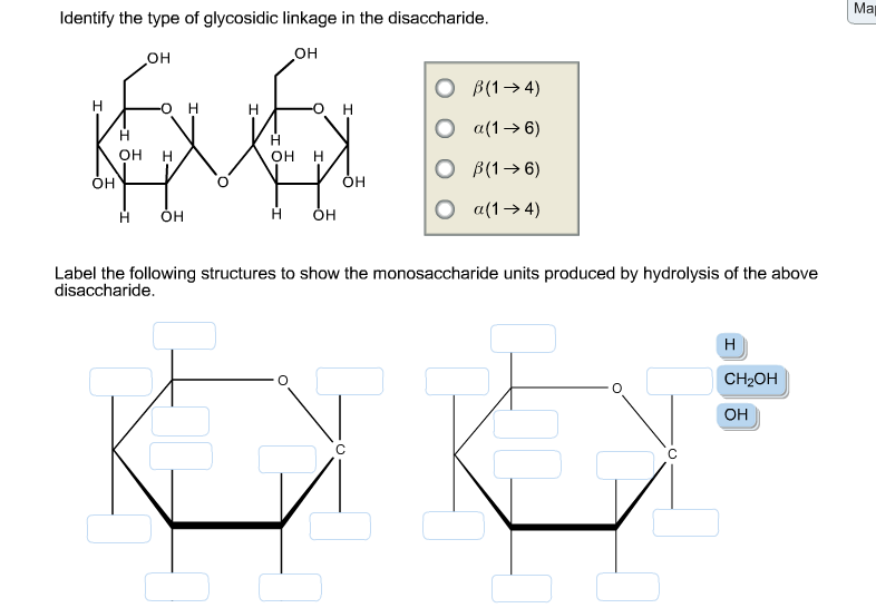 Identify The Type Of Glycosidic Linkage In The Chegg 