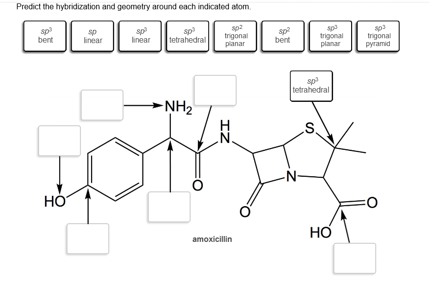 Predict The Hybridization And Geometry Around Each Chegg 