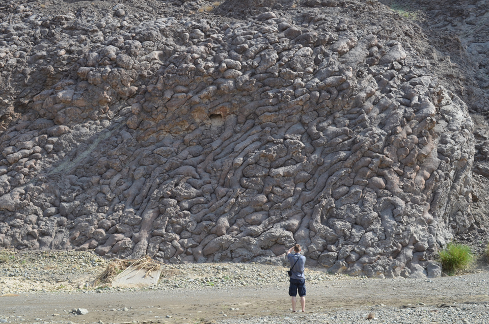 Solved Can You Please Answer All This 12 Question Properl