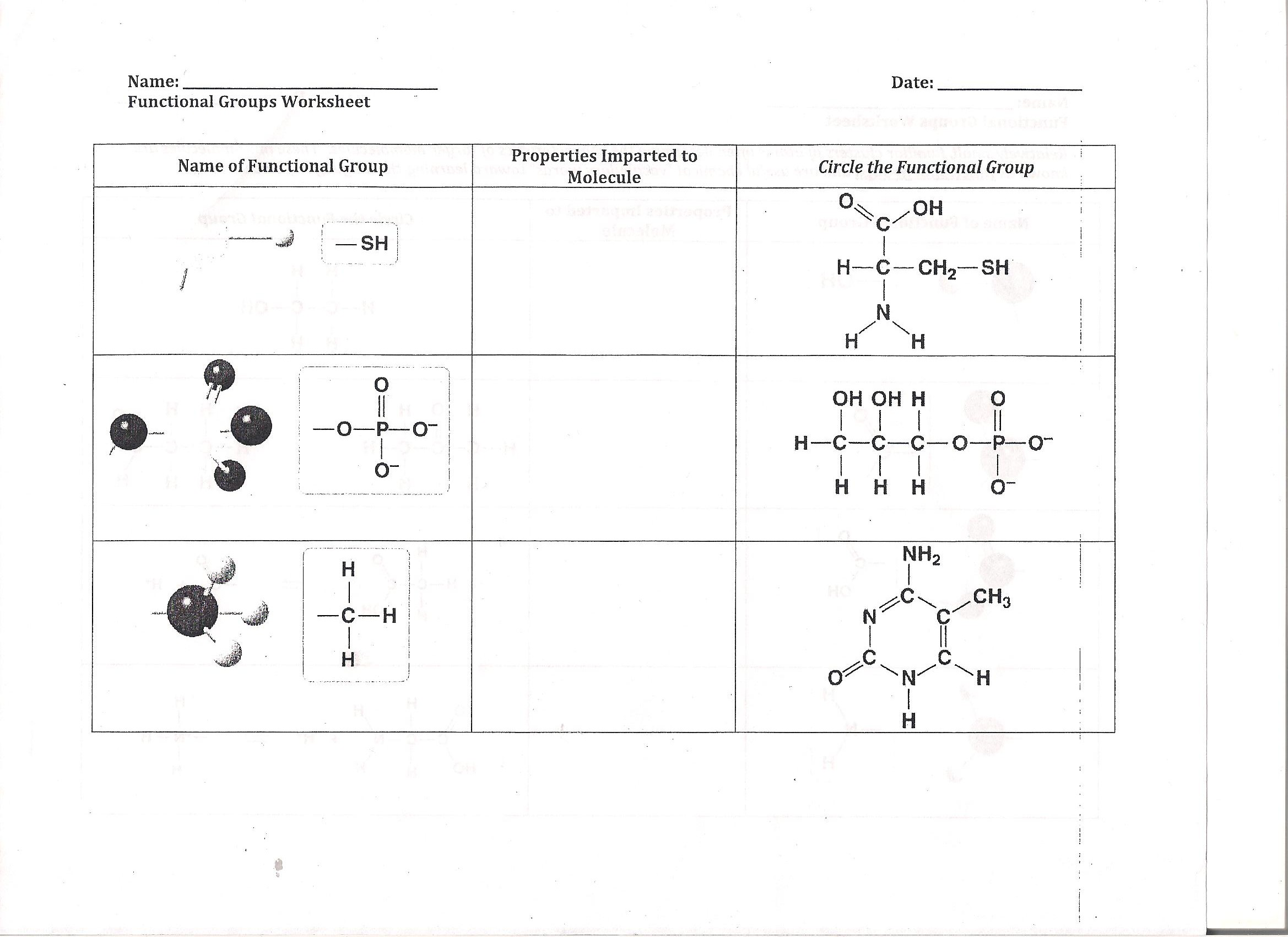 Solved Name: Functional Groups Worksheet Name of Functional | Chegg.com
