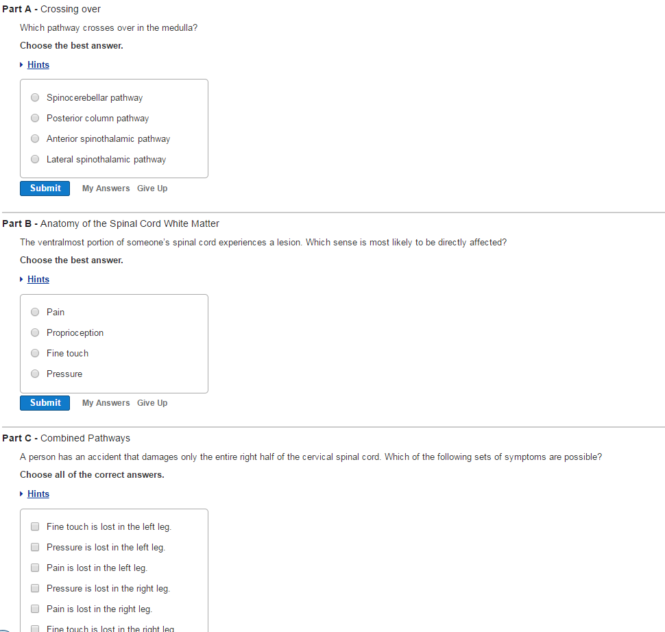 Solved Which Pathway Crosses Over In The Medulla? Choose