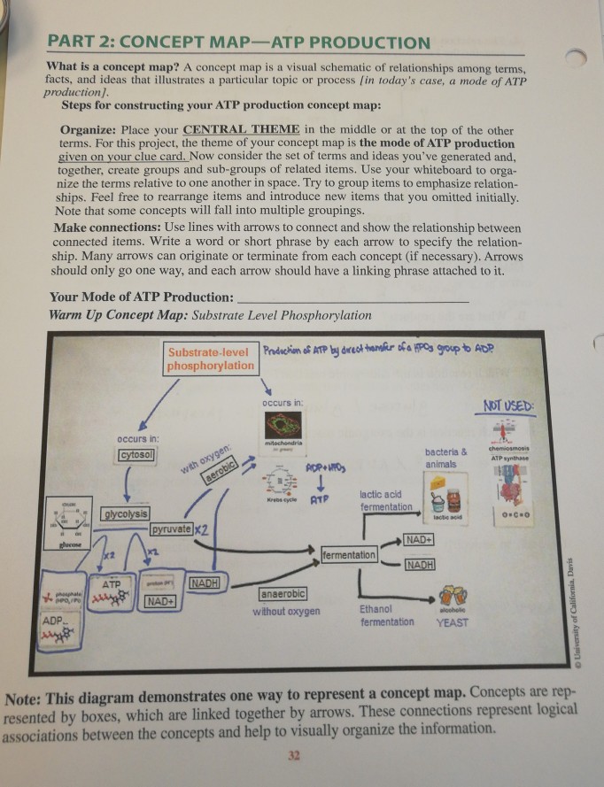 Oxidative Phosphorylation Concept Map Solved: PART 2: CONCEPT MAP ATP PRODUCTION What Is A Conce 