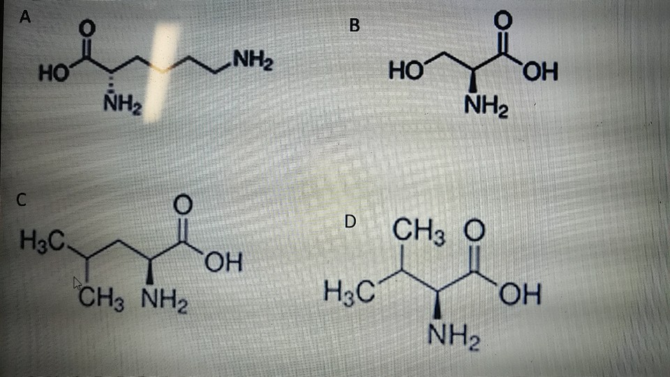 H3c c o oh. Ho2nh2. Ho ho nh2 формула. Химическая формула ho NH nh2. H3c – ch2 – nh2.