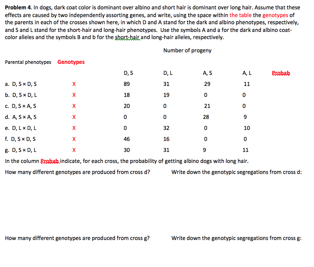 Solved Problem 4 In Dogs Dark Coat Color Is Dominant Ov