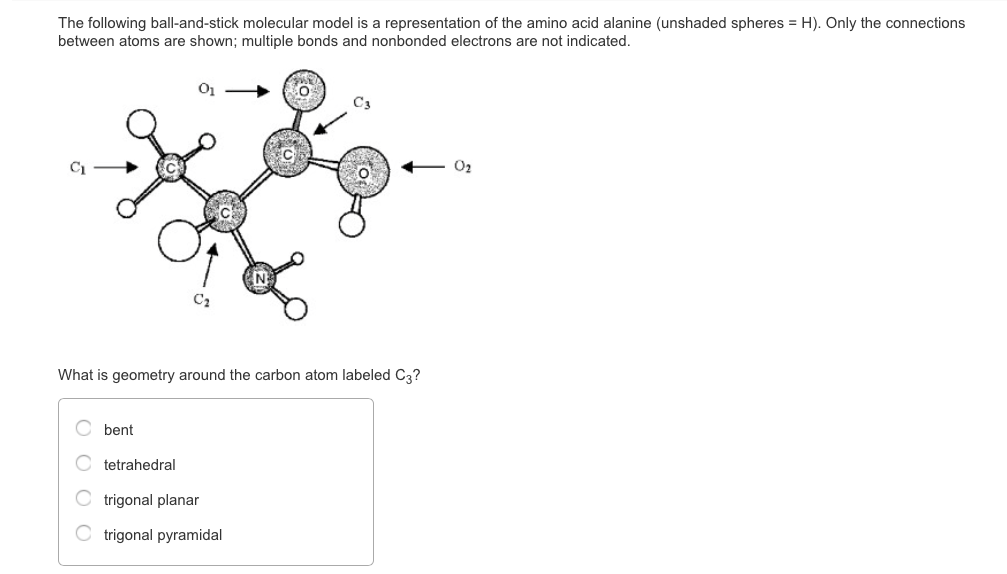 Solved The Following Ball And Stick Molecular Model Is A Chegg Com