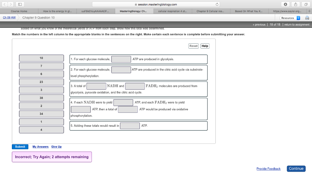 Identifying major themes chapter 9 picture
