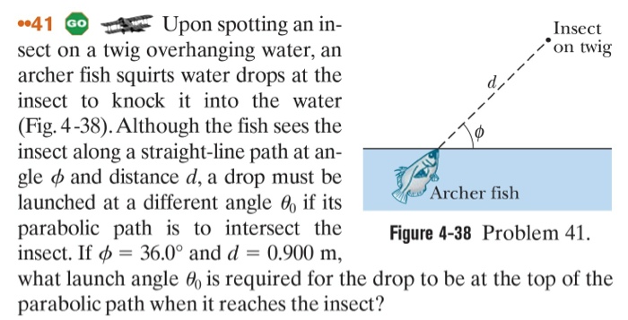 Upon spotting an insect on a twig overhanging wate