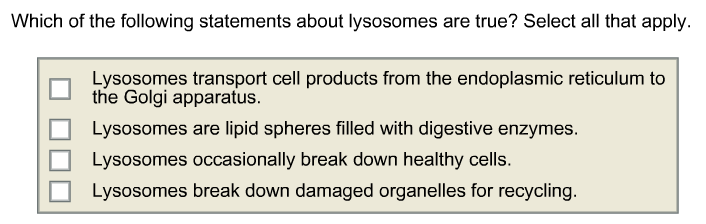 Solved Which Of The Following Statements About Lysosomes Are | Chegg.com Solved Which Of The Following Statements About Lysosomes Are | Chegg.com