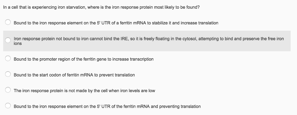 iron response element