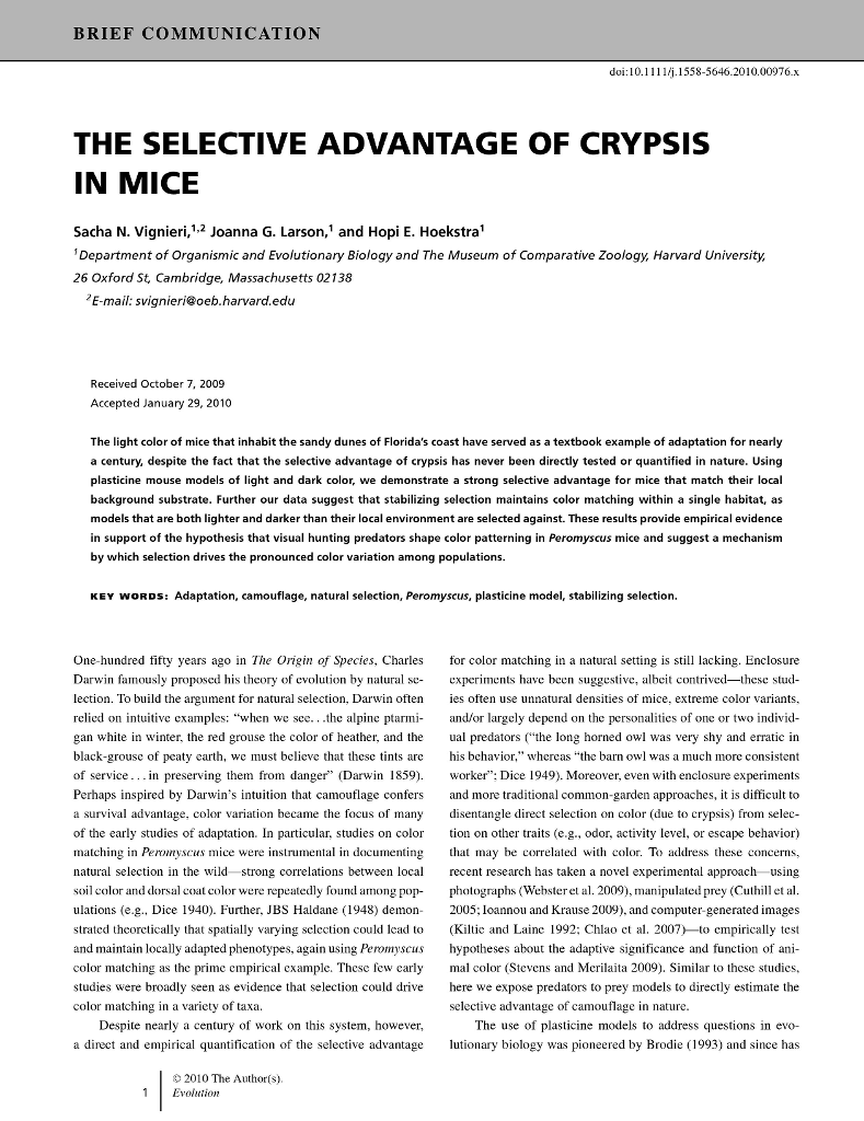 Narrative Essay Example For High School Language Essay Writing Locavore Synthesis Essay also Good High School Essays Clinchers For Persuasive Essays On Abortion Essay For Health