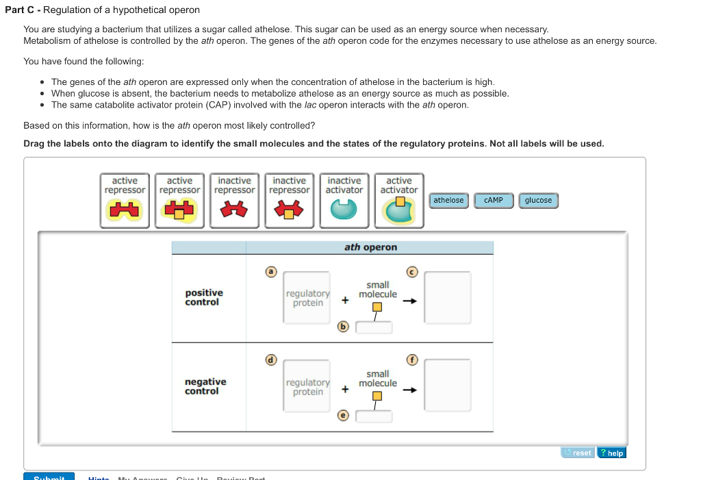 Match the labels on the diagram. Small smaller the smallest.