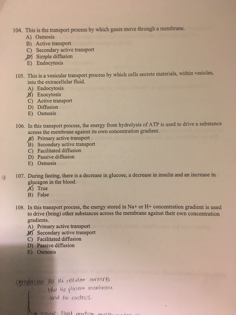 Solved 104 This Is The Transport Process By Which Gases Chegg Com