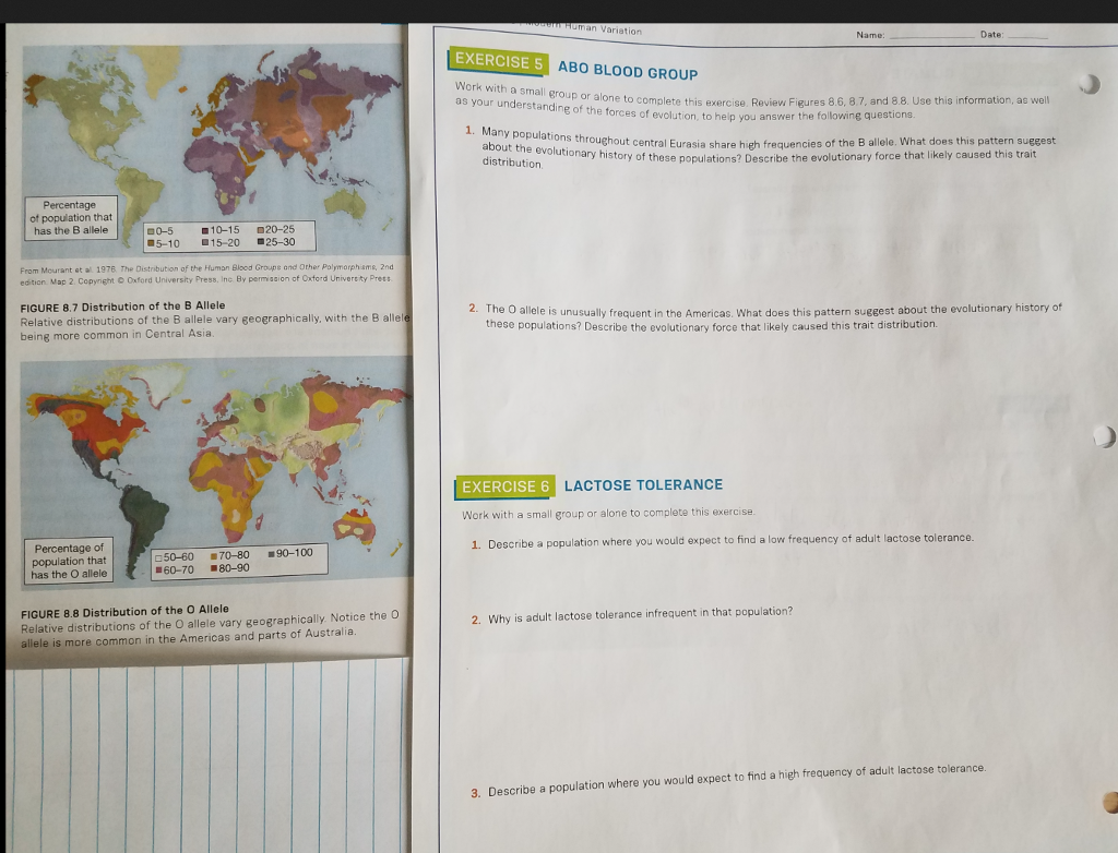Solved Name Date Exercise 5 Abo Blood Group Work With A Chegg Com