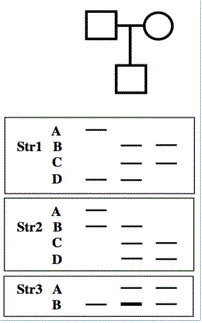 Only Fraction Of Students Are Prepared >> Solved Only A Small Fraction Of Human Fetuses With Trisom Only Fraction Of Students Are Prepared >> Solved Only A Small Fraction Of Human Fetuses With Trisom