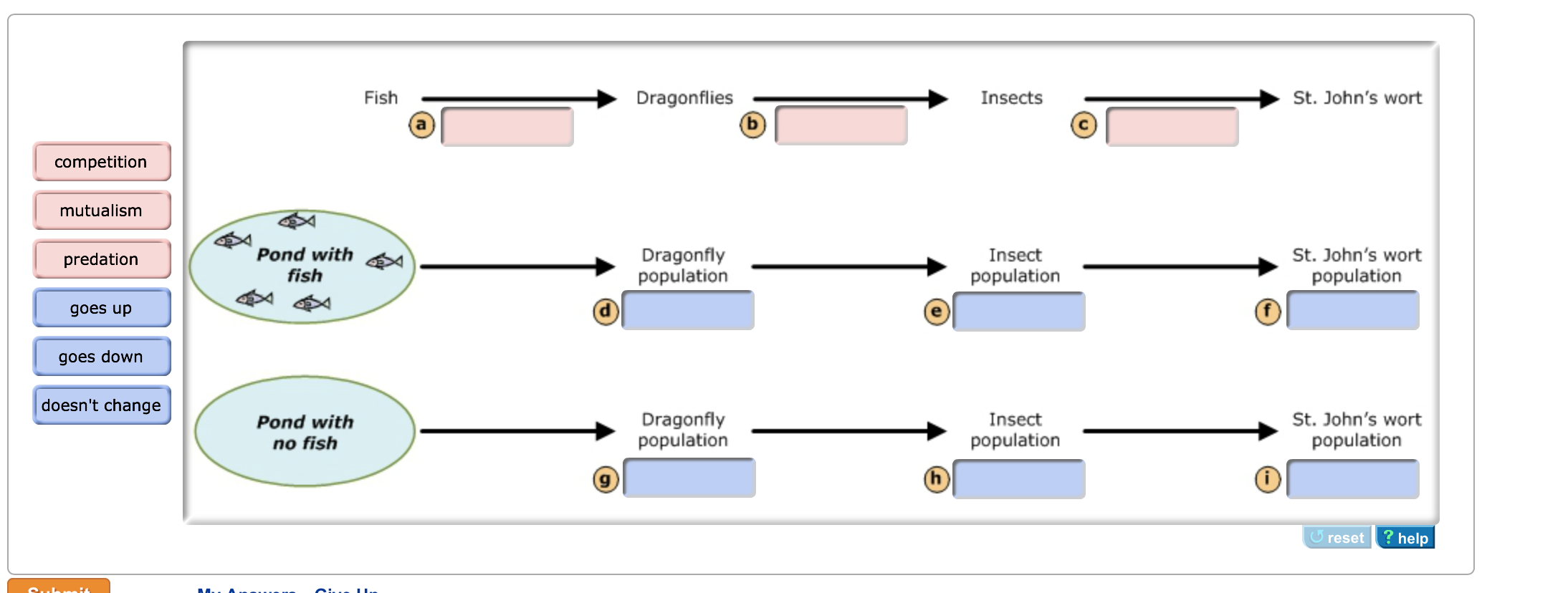 Drag the pink labels to indicate which type of int.