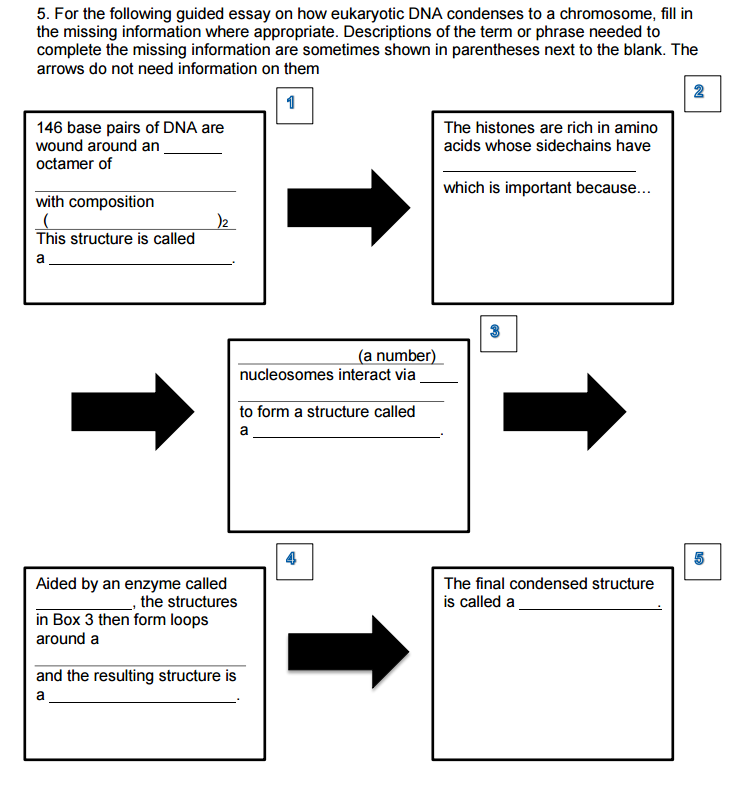 Research Essay Proposal For The Following Guided Essay On How Eukaryotic Dna Condenses To A Chromosome English Language Essay also Science Technology Essay Solved For The Following Guided Essay On How Eukaryotic D Independence Day Essay In English