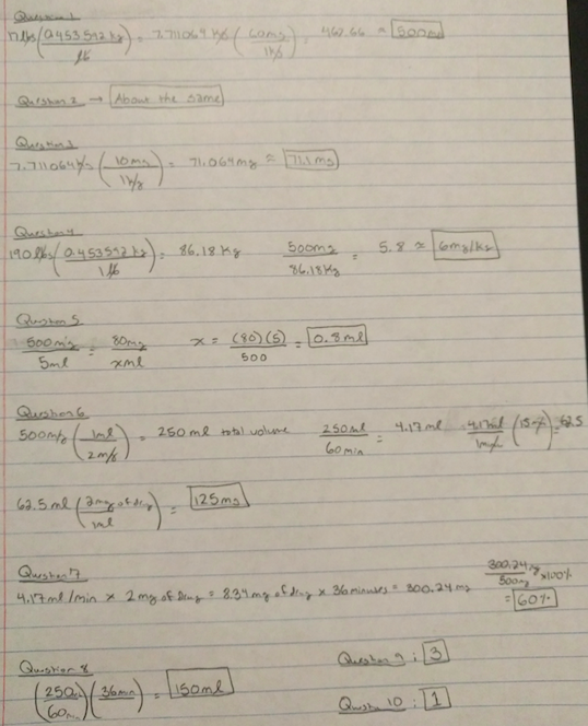 apple company essay walt disney