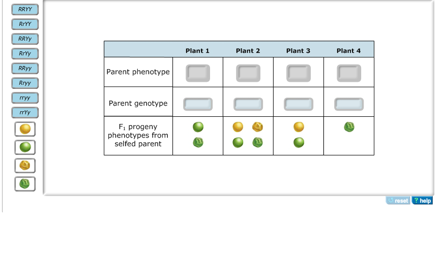 Part A Deducing Phenotypes And Genotypes Of Selfed Chegg Com