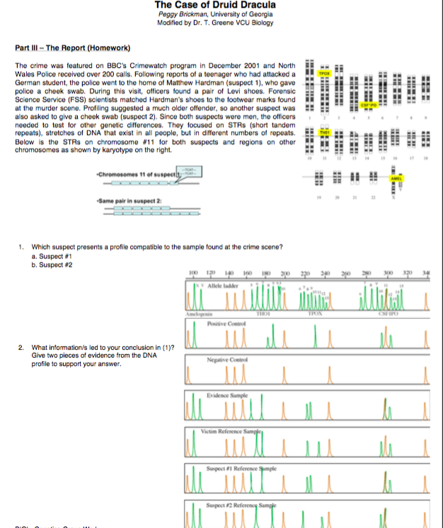 Druid dracula case study answers 07 picture