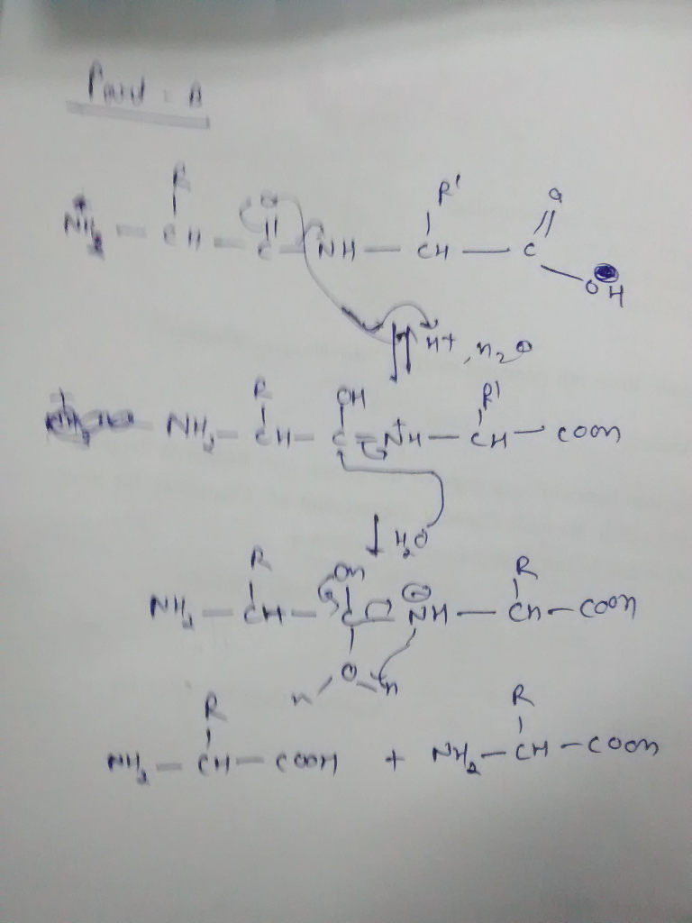 Question & Answer: Part A. How does the solubility of tyrosine change when you add 10% sodium hydroxide ? how..... 1