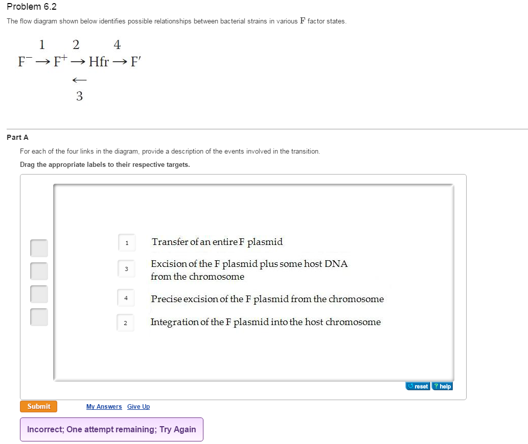 chegg
